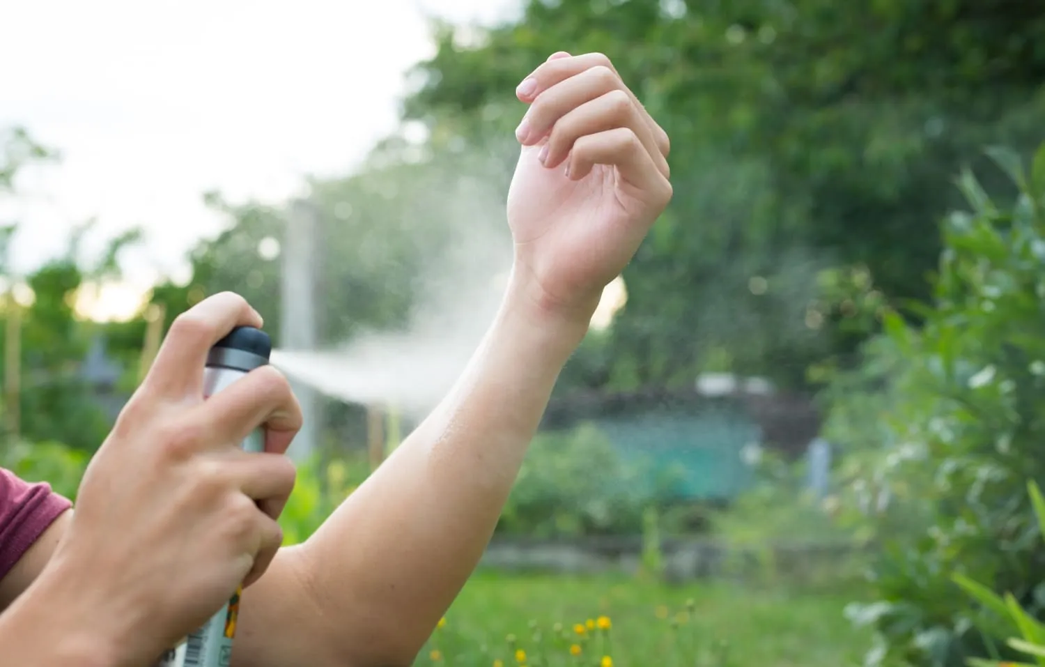 Où acheter un fumigène à main pas cher et comment l’utiliser ?