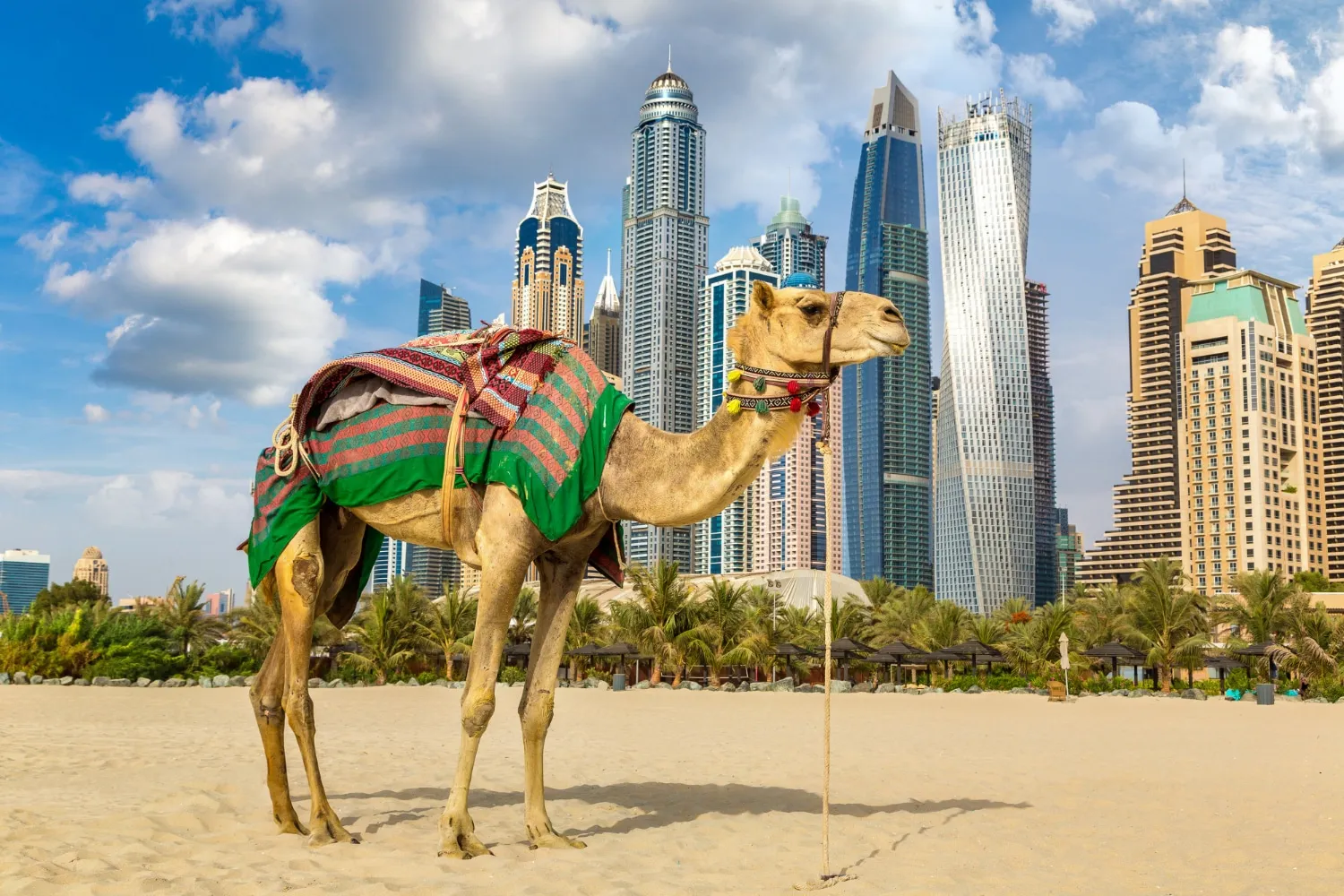 Coût d’un voyage à Dubaï : analyse détaillée des dépenses à prévoir