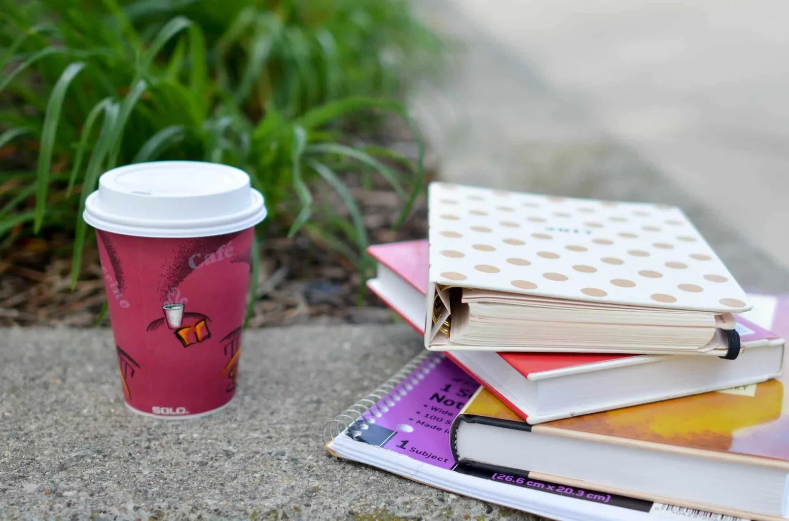 Quels livres de cours universitaires en psychologie sont recommandés ?