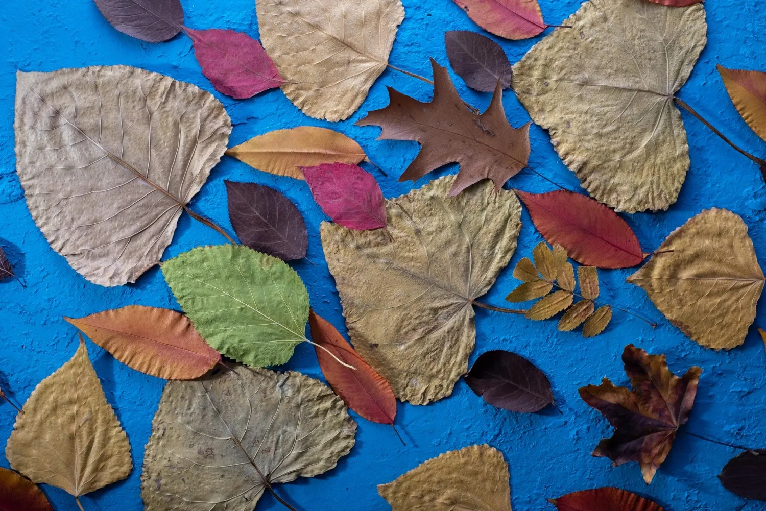 L’art du papier mâché : techniques et inspirations pour débuter