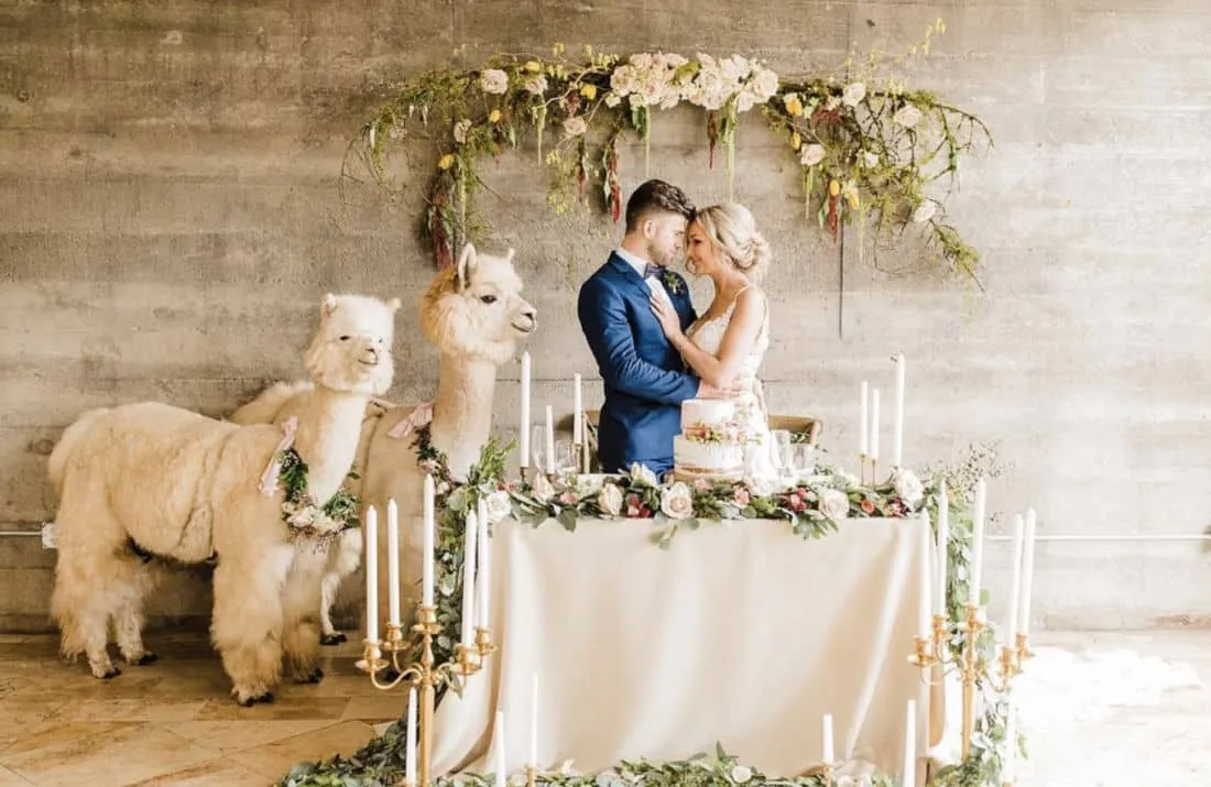 Vidéos de mariage : comment filmer une fête de mariage ?