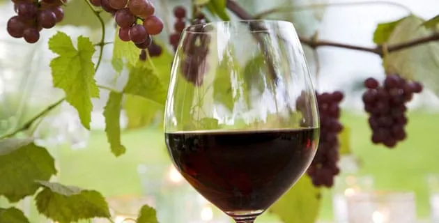 Vin primeur : Quels sont les différents vins primeurs ?