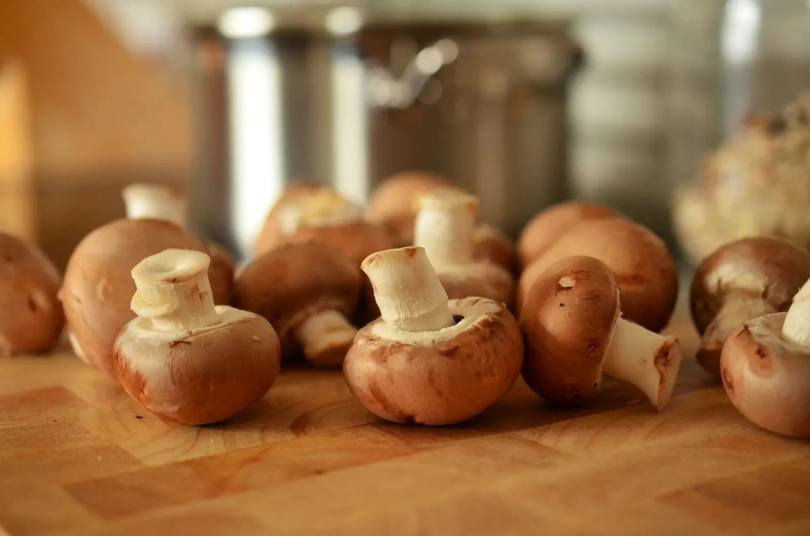 Comment faire pousser des champignons ?
